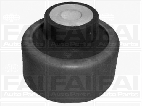 Mounting, control/trailing arm